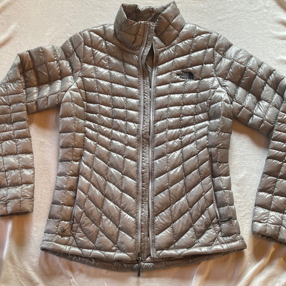 North Face Silver Puff Jacket